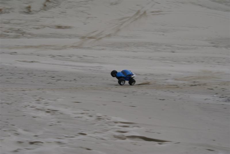 beetlestrand2 (Medium).JPG